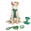Dog wearing a green harness with matching leash and collar on a white background