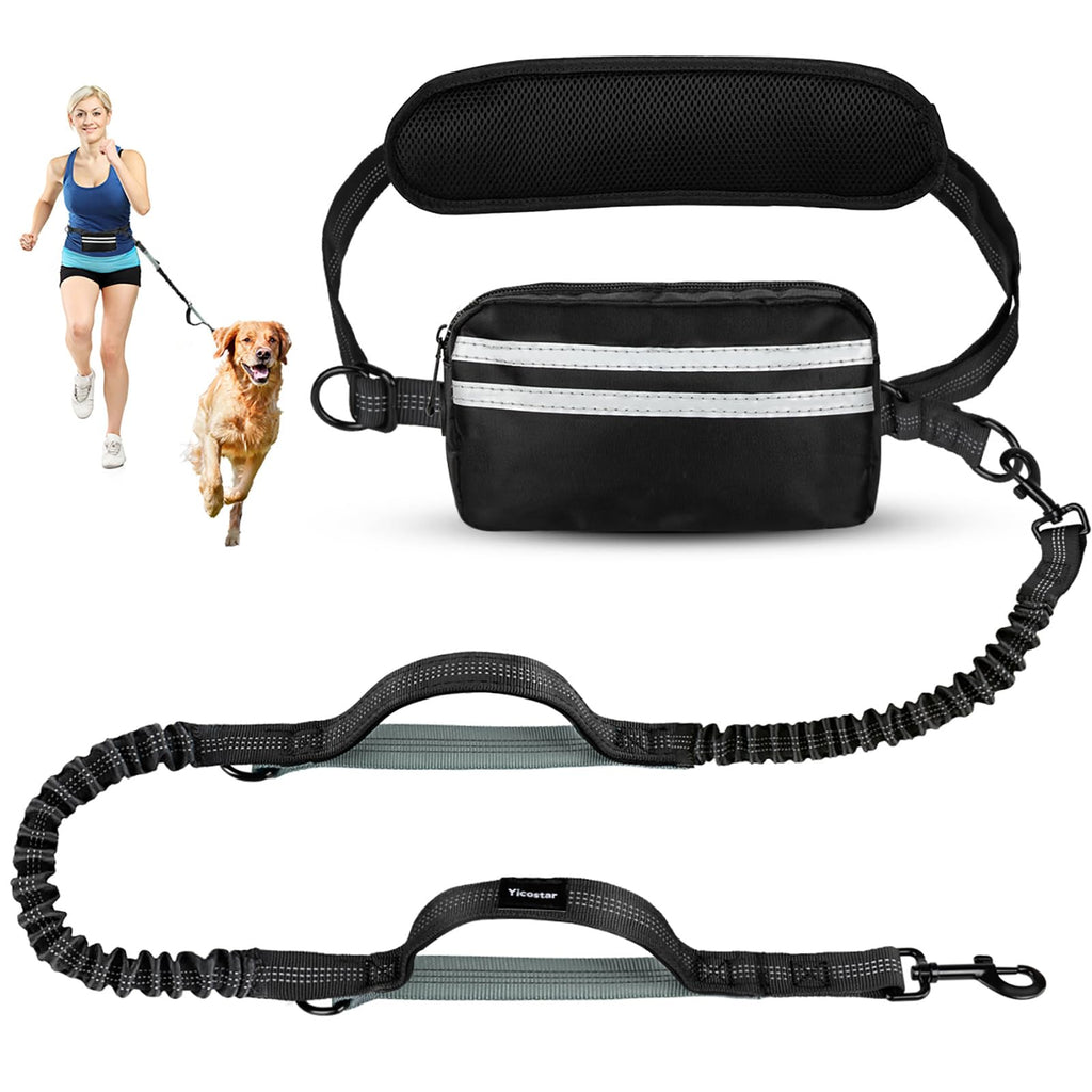 Dog leash with attached waist bag and person walking a dog on a leash.