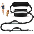 Dog leash with attached waist bag and person walking a dog on a leash.