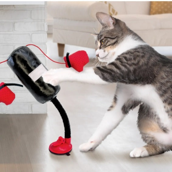 Interactive Cat Punching Bag Toy – Suction Cup Silicone Exercise Toy