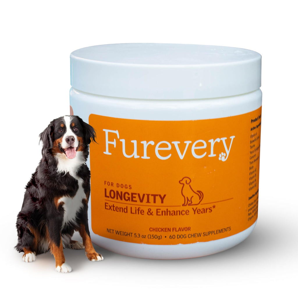Furevery longevity dog supplement jar with a dog on a white background