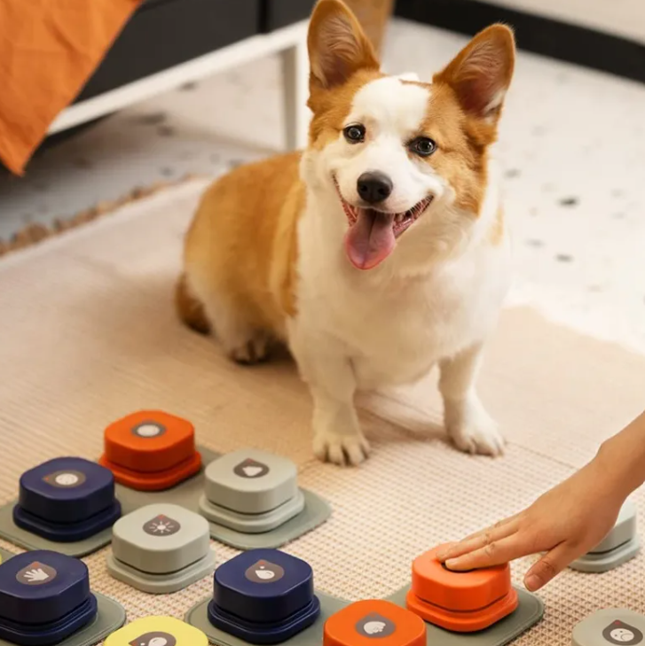 Pet Communication Buttons & Mat Options for Dogs & Cats
