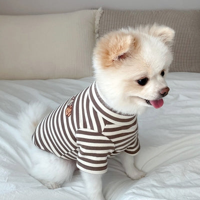 Small dog wearing a striped shirt sitting on a bed.