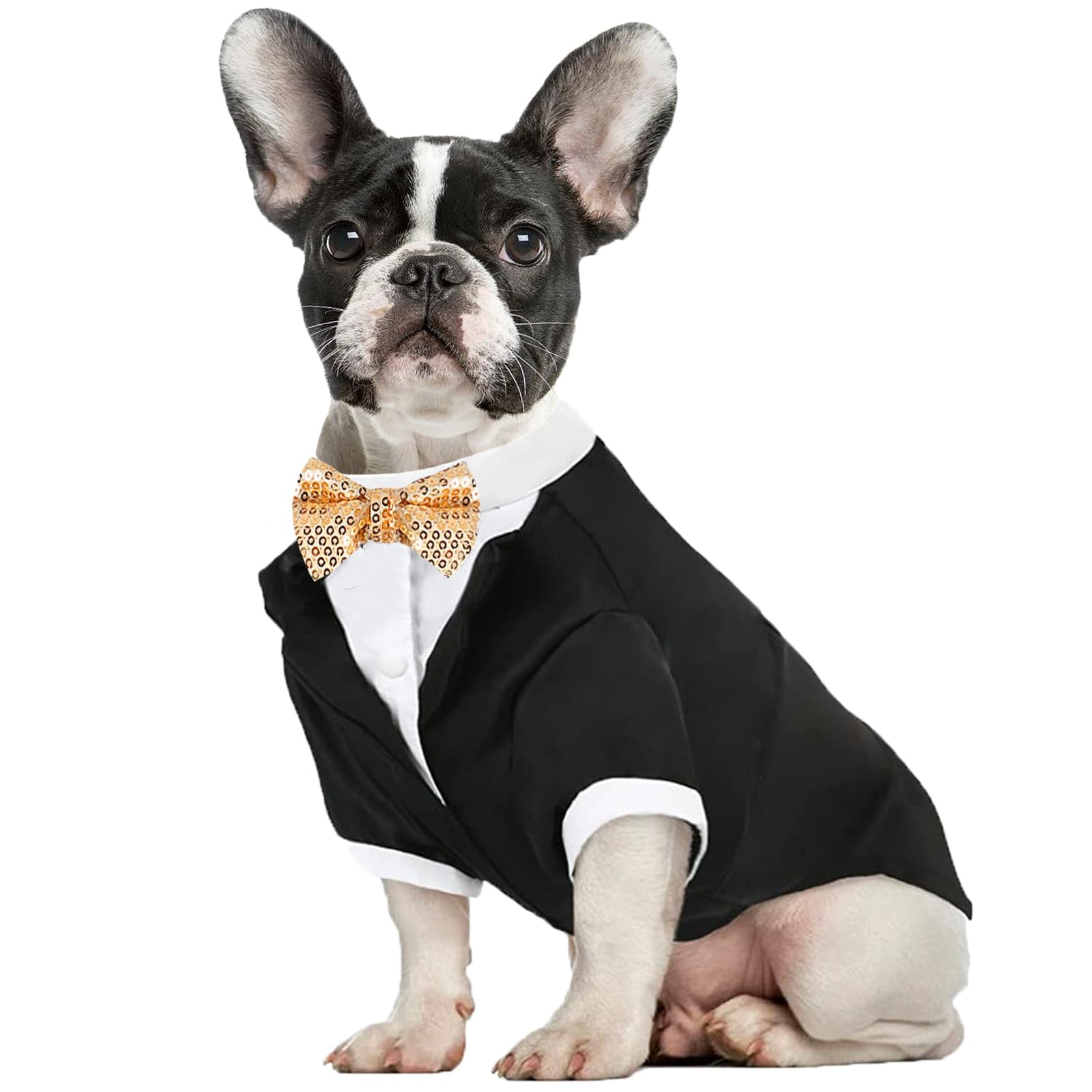 Dog wearing a black tuxedo with a bow tie on a white background
