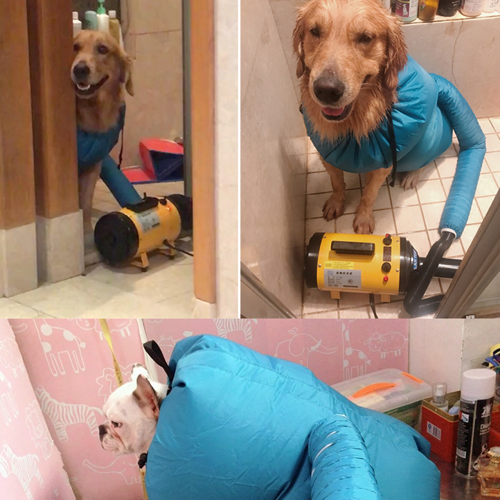 Pet Drying Box, Dryer & Drying Bag