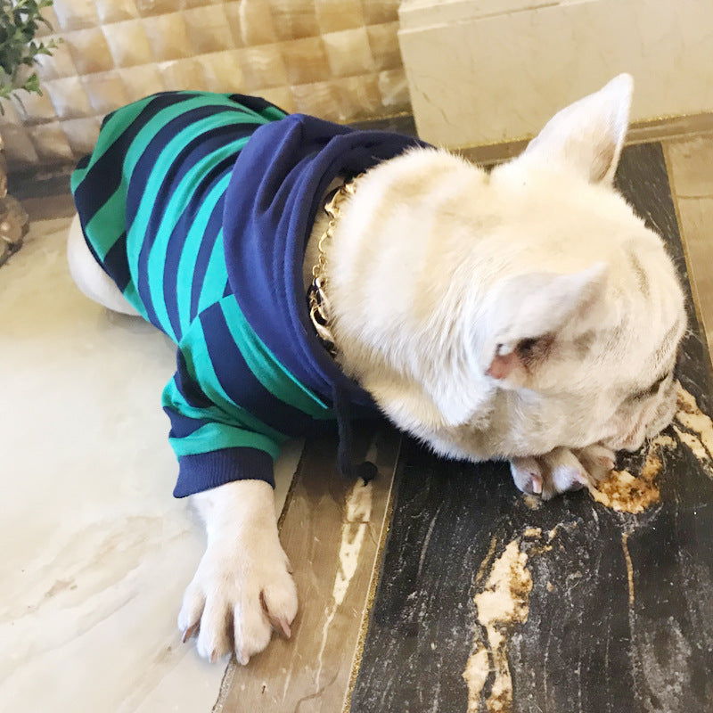 Dog wearing a striped sweater on a wooden floor