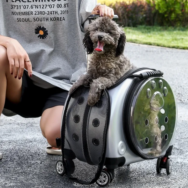 Small Pet Trolley Carrier (PC/ABS Shell, Up to 7.5kg)