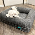 White dog lying on a gray pet bed with 'newton' branding in a room.