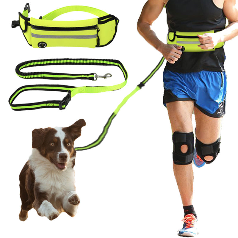 Dog Walking Waist Bag with Leash – Waterproof & Reflective