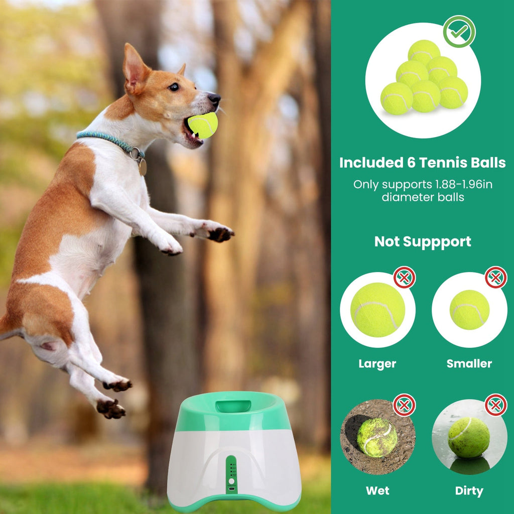 Dog playing with a tennis ball, with product packaging on the side showing features and limitations.
