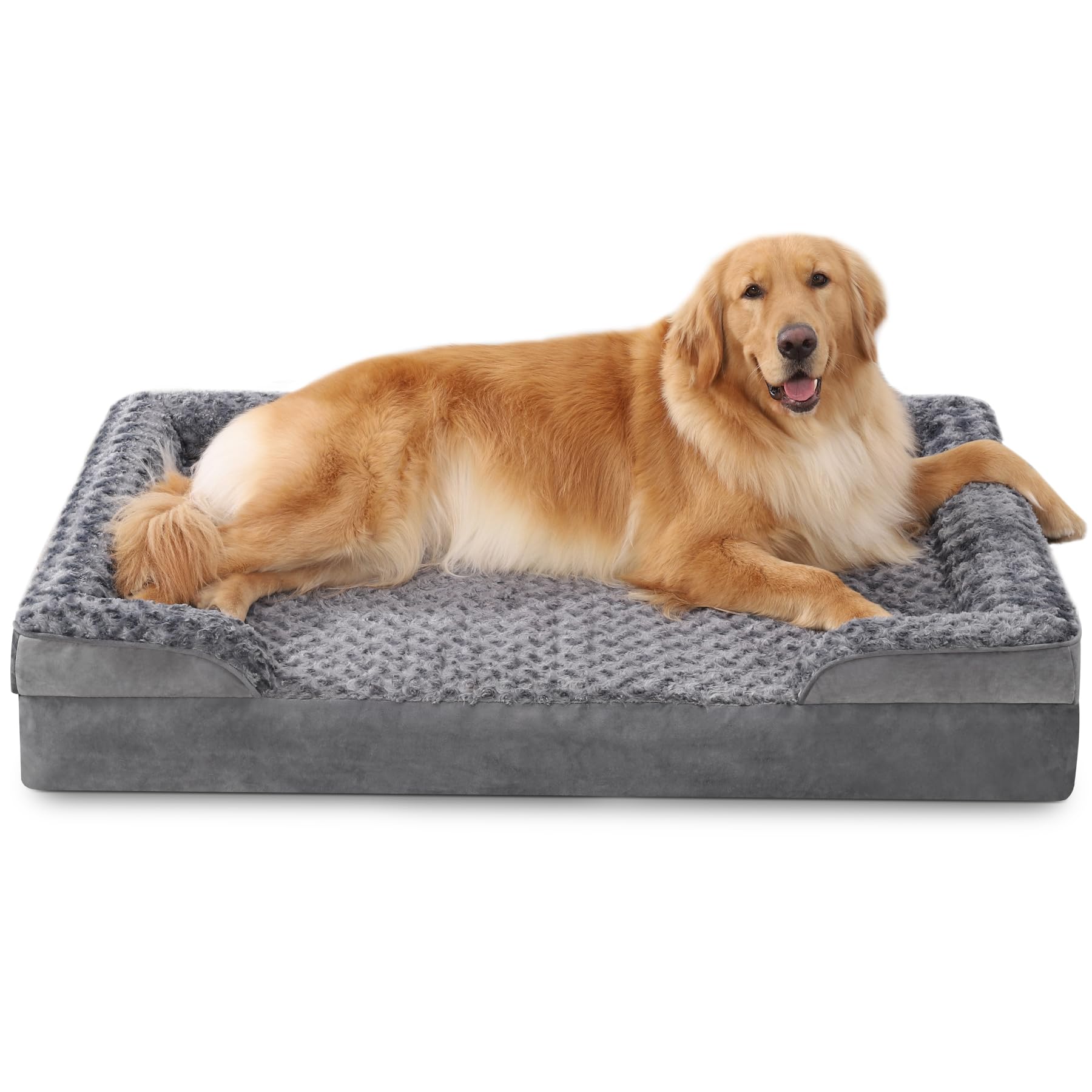 Dog lying on a gray pet bed with a white background