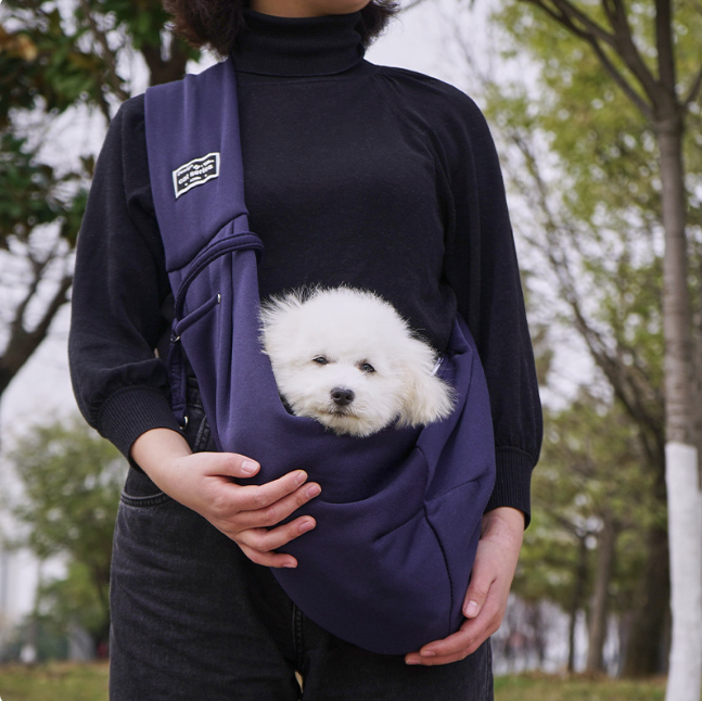 Person holding a small white dog in a purple sling outdoors.