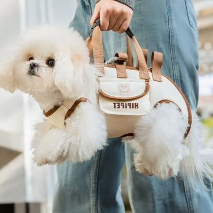 Small white dog peeking out from a beige pet carrier with brown accents, held by a person.