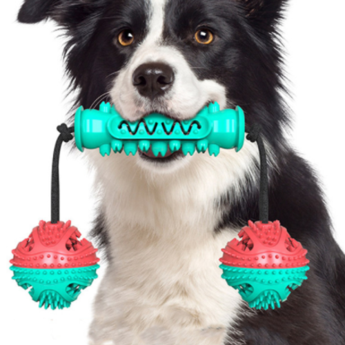 Dog Toothbrush Chew Toy – Rubber Bone for Teeth Cleaning & Molar Care
