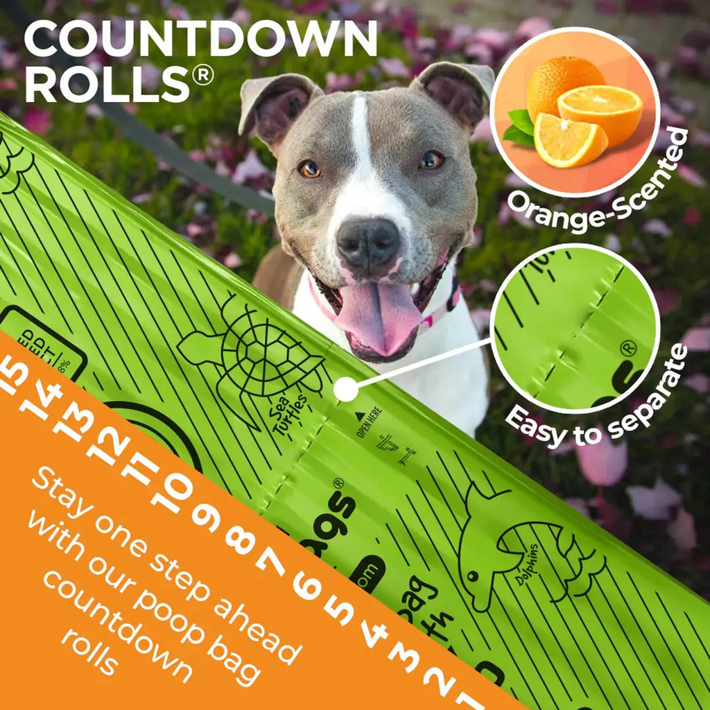 Dog with a green poop bag dispenser labeled 'Countdown Rolls' featuring orange-scented bags.
