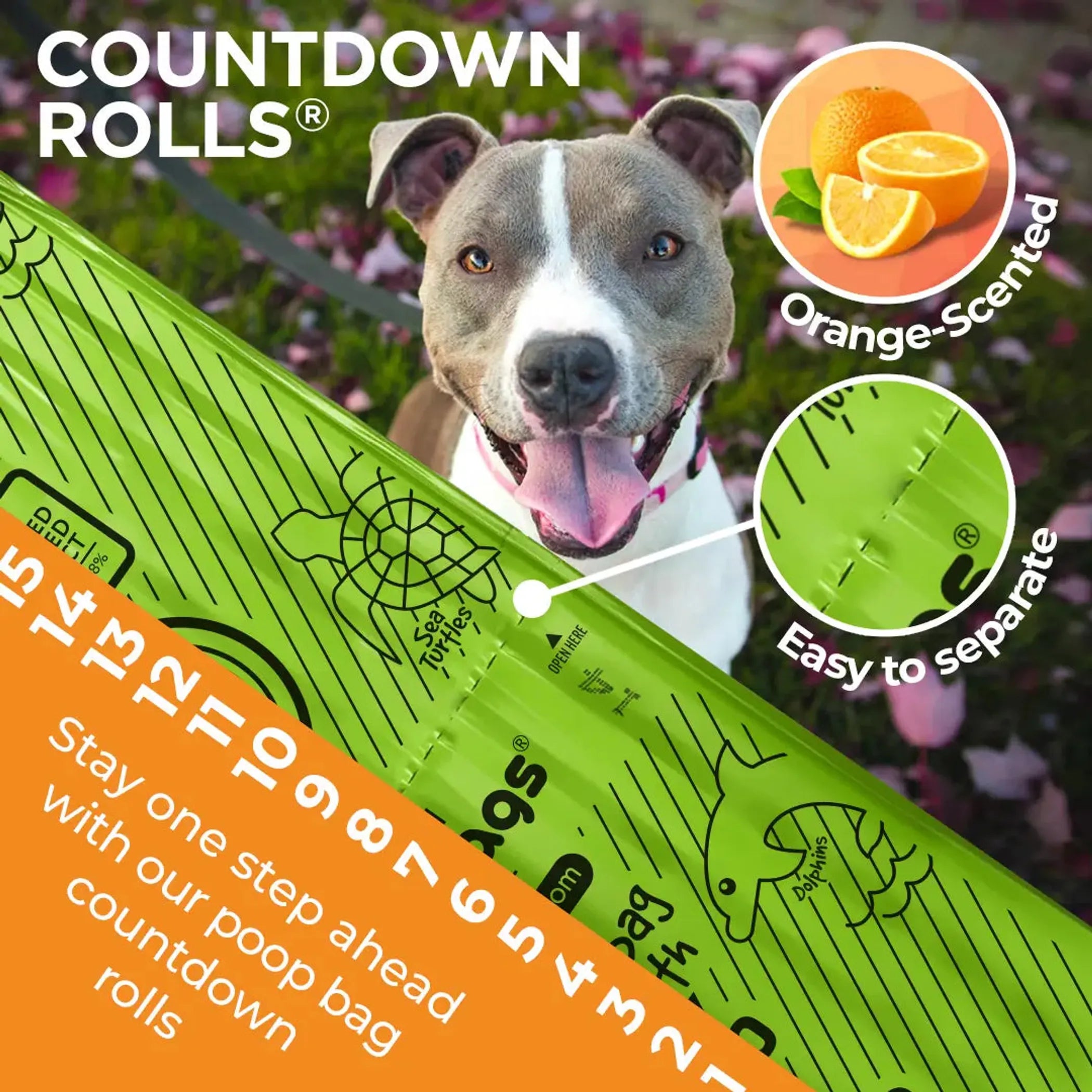 Dog with a green poop bag dispenser labeled 'Countdown Rolls' featuring orange-scented bags.