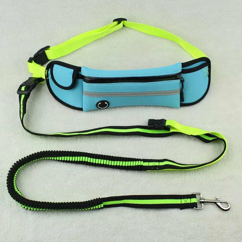 Dog Walking Waist Bag with Leash – Waterproof & Reflective