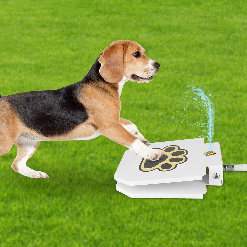 Dog playing with a toy that sprays water on a grassy field