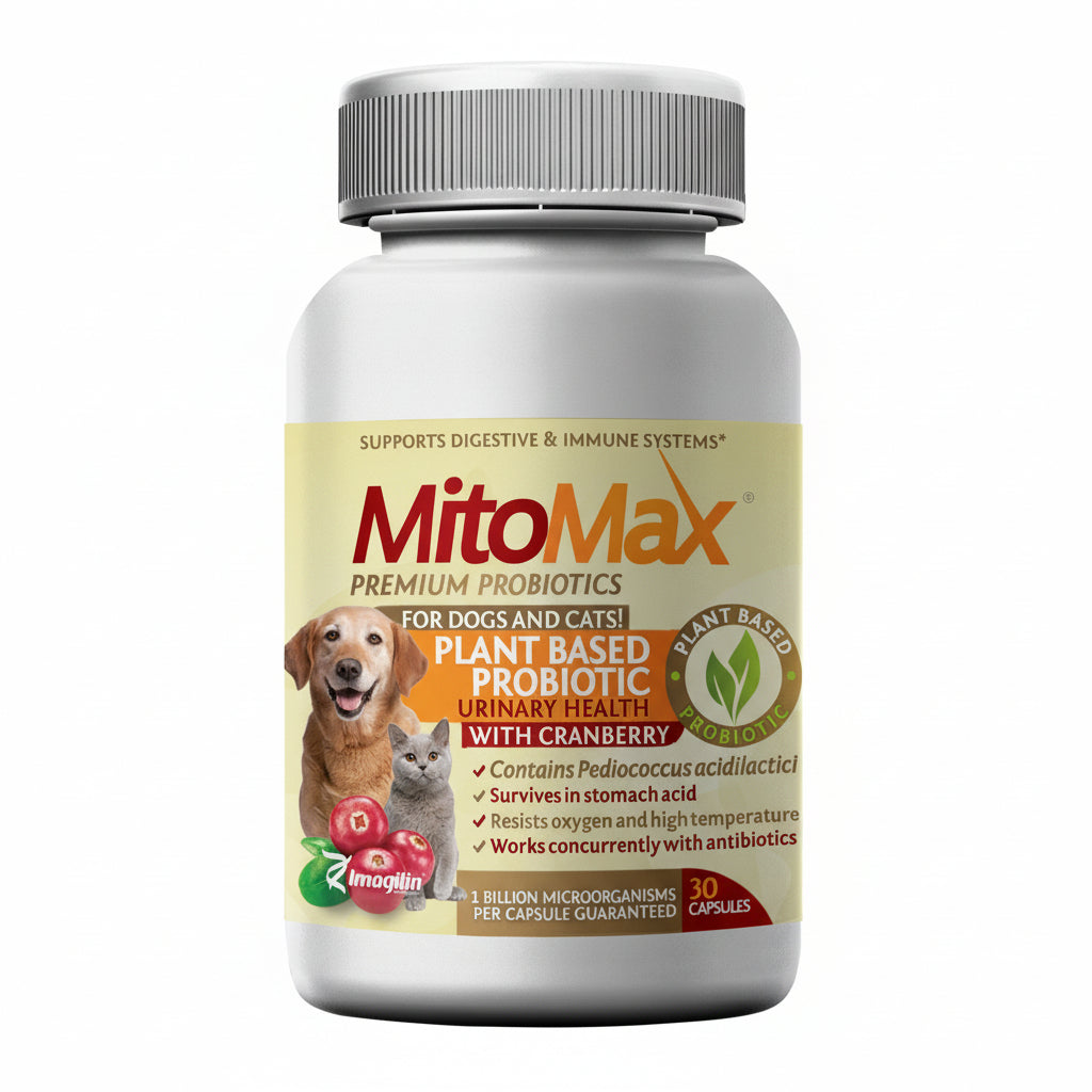 MitoMax probiotics bottle for dogs and cats on a white background