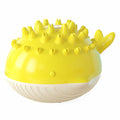 Electric Floating Water Spray Dog Toy