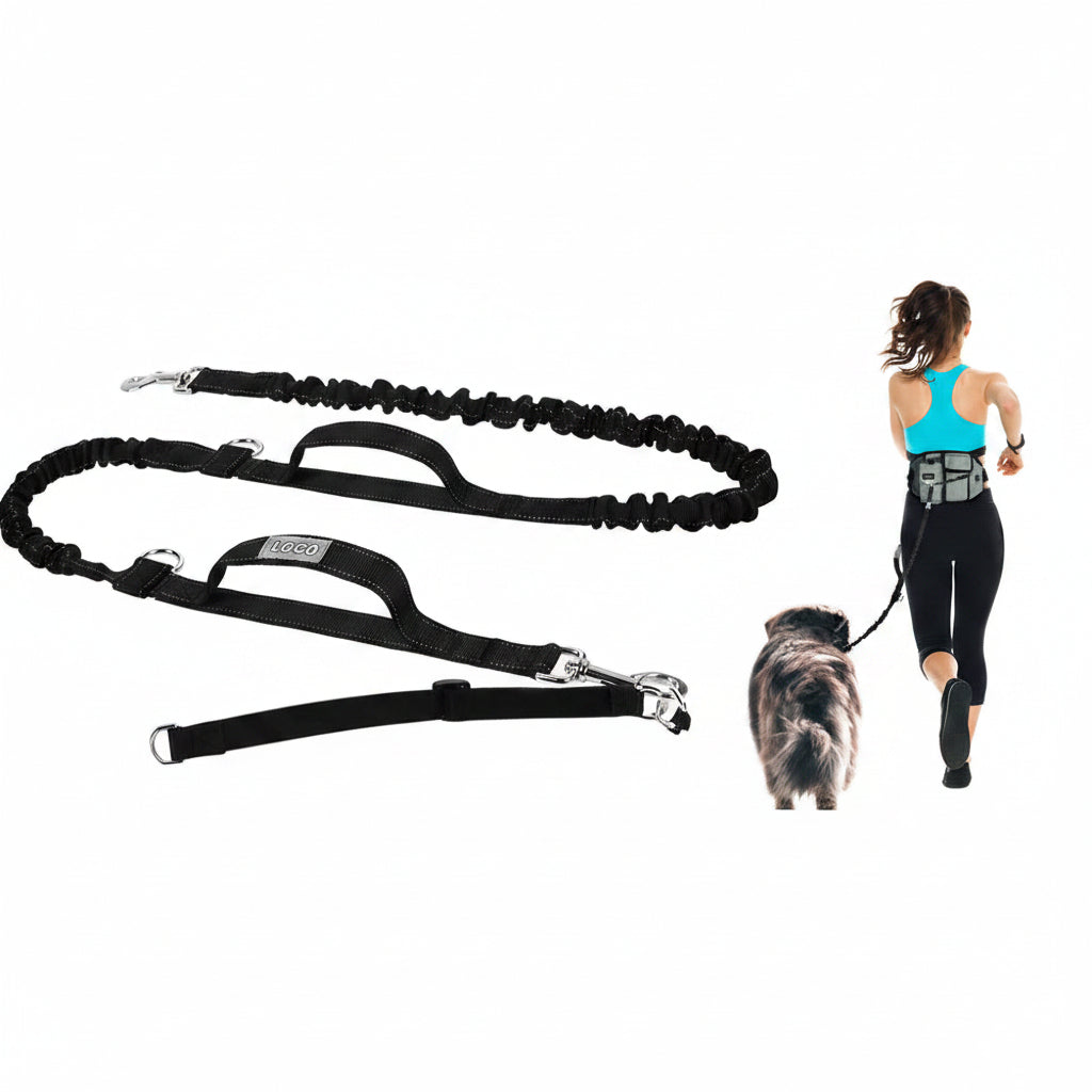 Dog Training Treat Pouch & Waist Bag – Hands-Free
