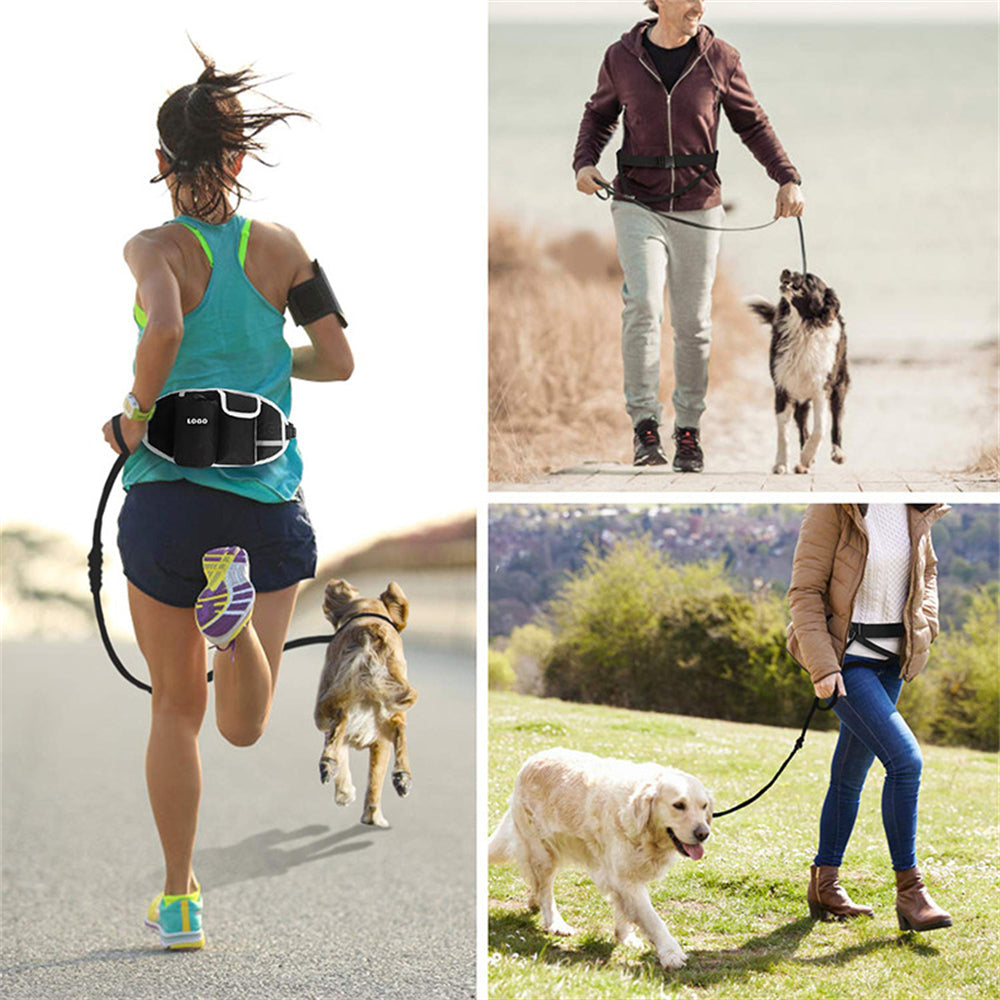 Dog Training Treat Pouch & Waist Bag – Hands-Free