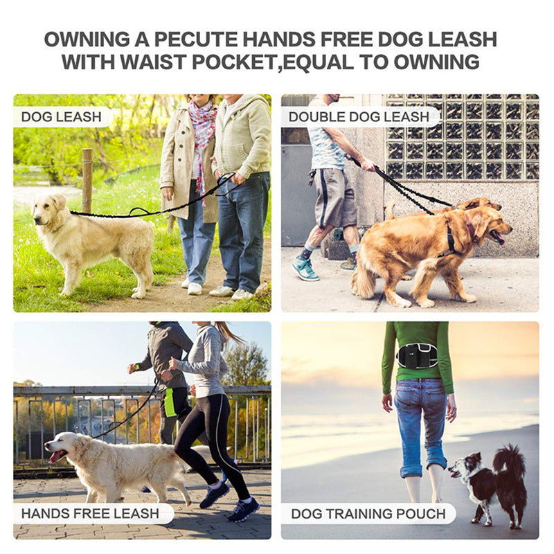 Dog Training Treat Pouch & Waist Bag – Hands-Free