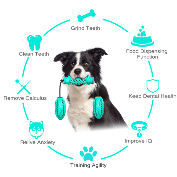 Dog Toothbrush Chew Toy – Rubber Bone for Teeth Cleaning & Molar Care