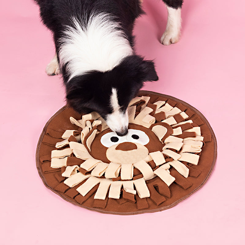 Dog playing with a lion-shaped chew toy on a pink background