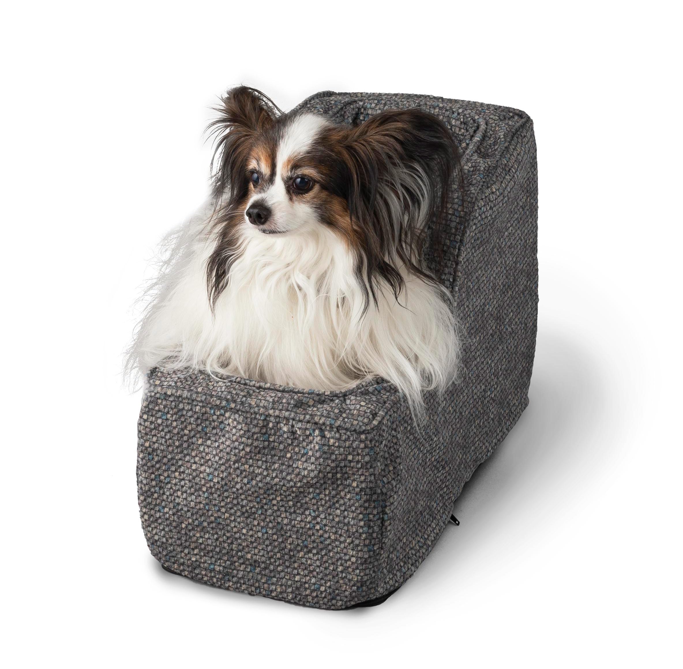 Small dog sitting in a gray pet bed on a white background