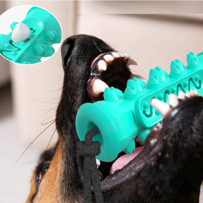 Dog Toothbrush Chew Toy – Rubber Bone for Teeth Cleaning & Molar Care