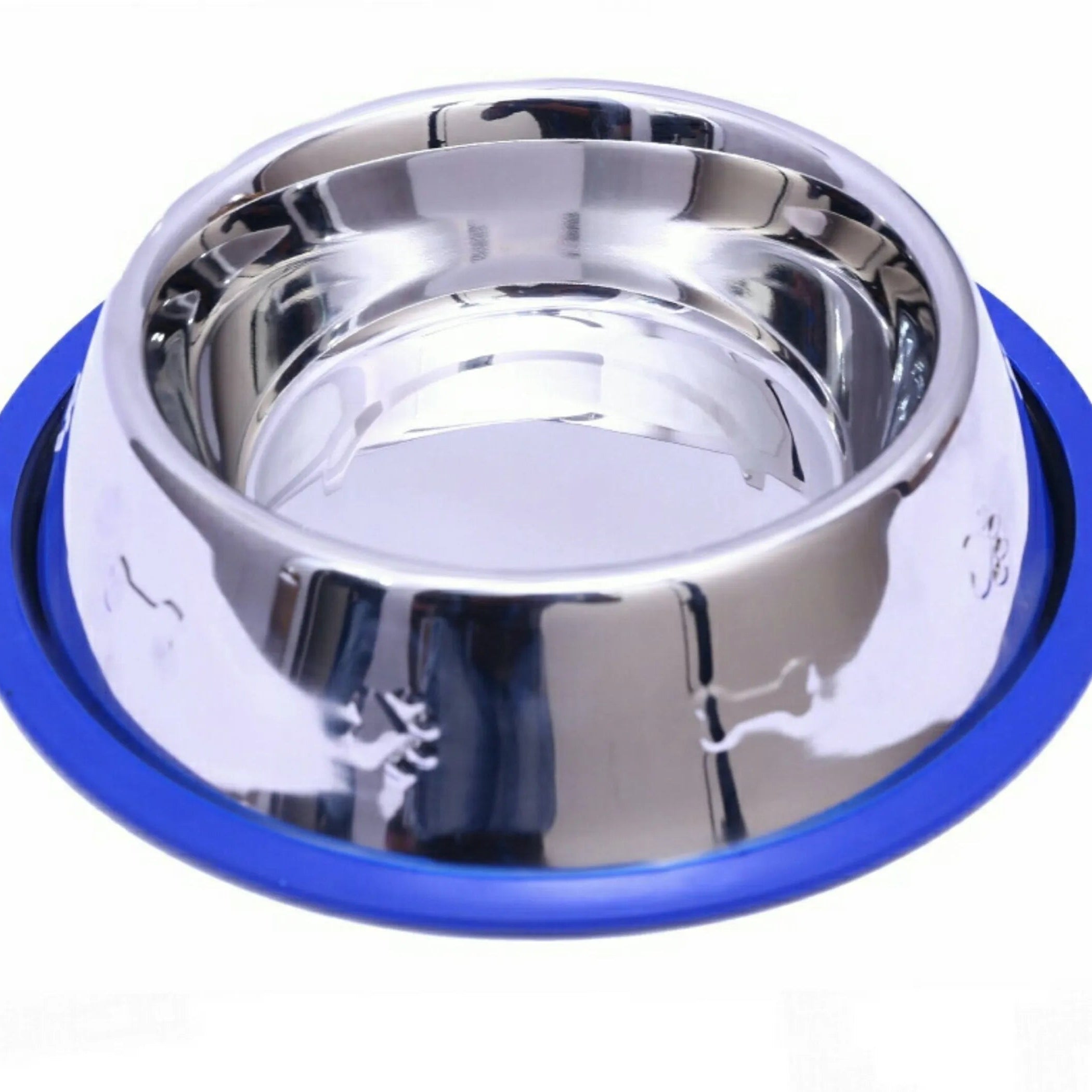 Stainless steel dog bowl with blue silicone rim on a white background