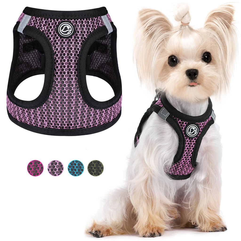 Dog wearing a purple and black patterned harness with a matching harness on a white background.