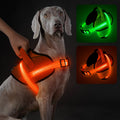 Dog wearing an orange LED harness with inset images of green and red LED harnesses on a dark background.