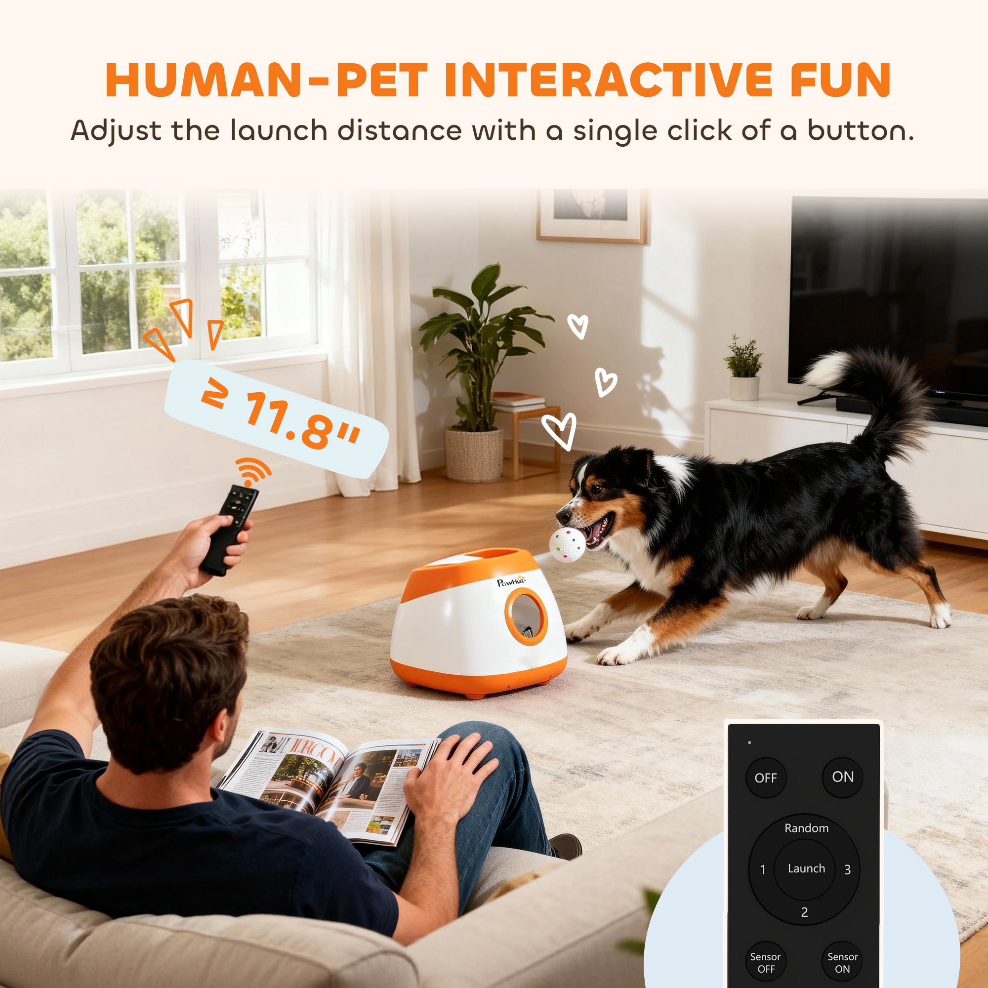 Man playing with a dog using a remote-controlled pet toy in a living room.