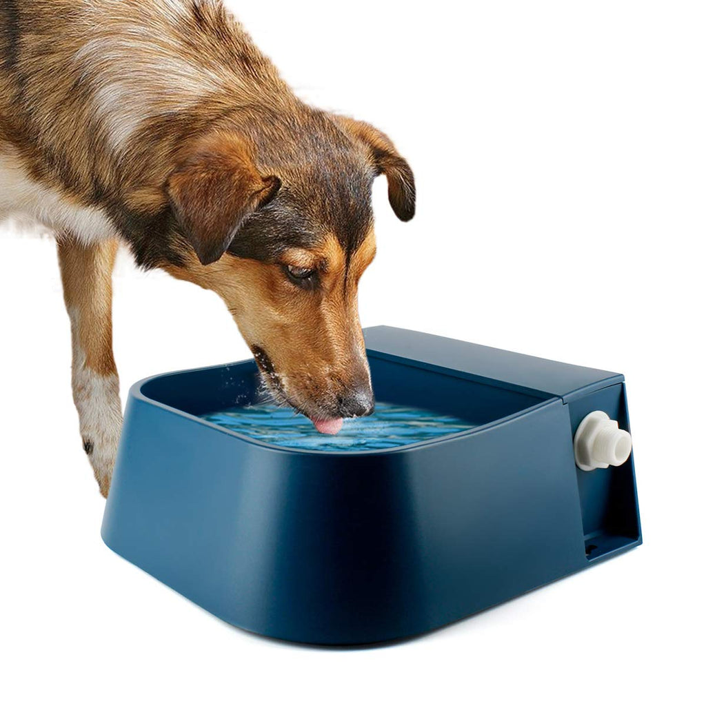 Dog drinking water from a blue pet water fountain on a white background