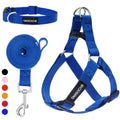 Blue dog collar, harness, and leash set with DMIsochr branding on a white background.