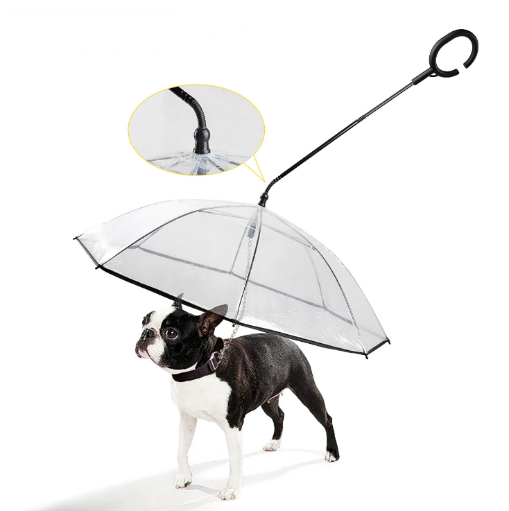 Dog wearing a transparent umbrella with a black handle on a white background