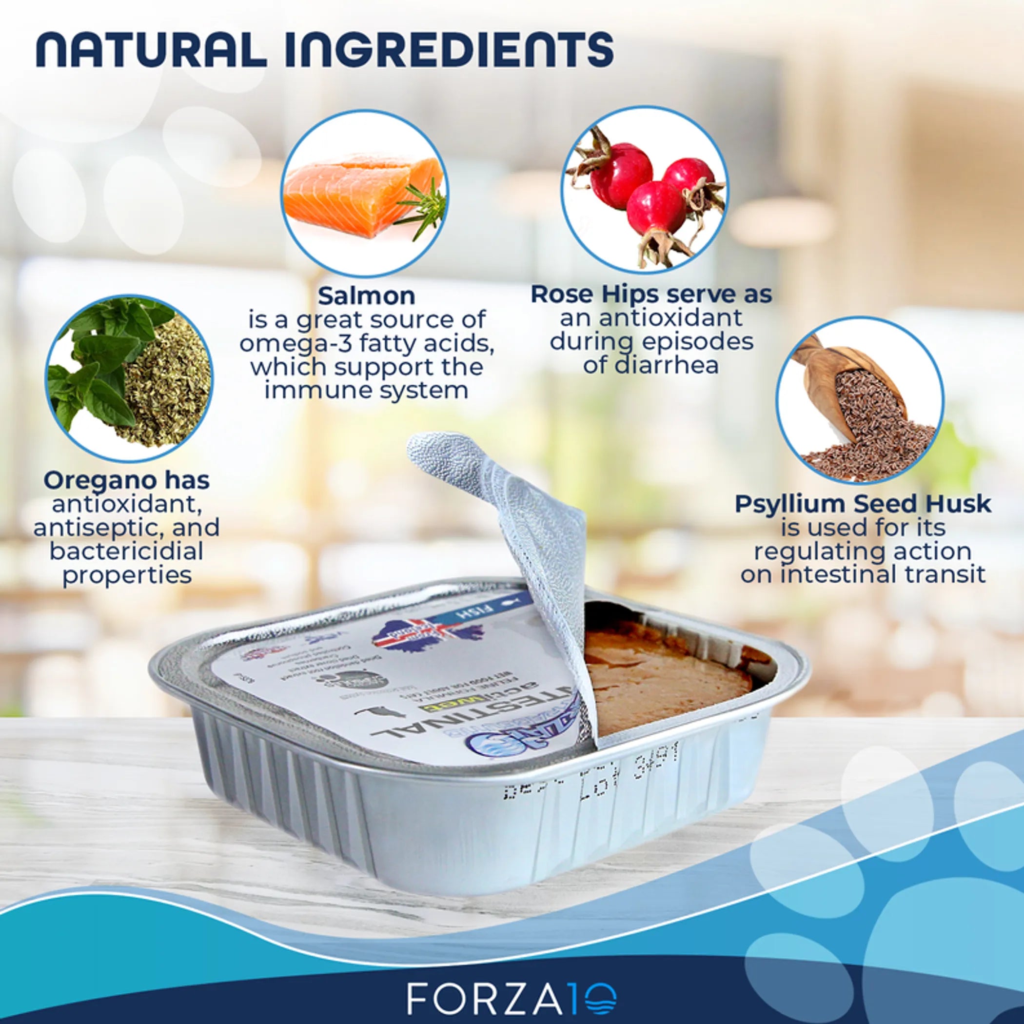 Forza10 Nutraceuticals Intestinal activ wet dog food packaging on a white background