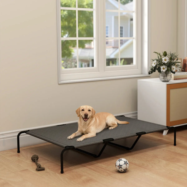 Dog lying on a pet cot in a room with a window and furniture.