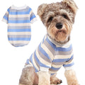 Dog wearing a blue and white striped shirt with a matching shirt on a white background