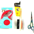 Pet grooming tools including a red brush, comb, and scissors on a white background