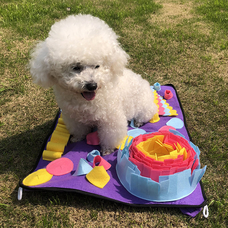 White dog sitting on a colorful puzzle mat outdoors