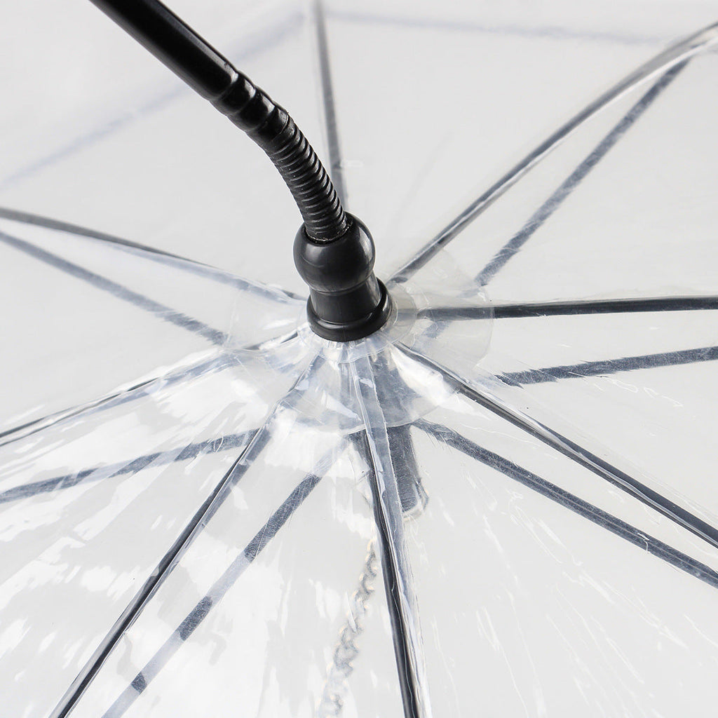 Close-up of a transparent umbrella with a black handle on a white background