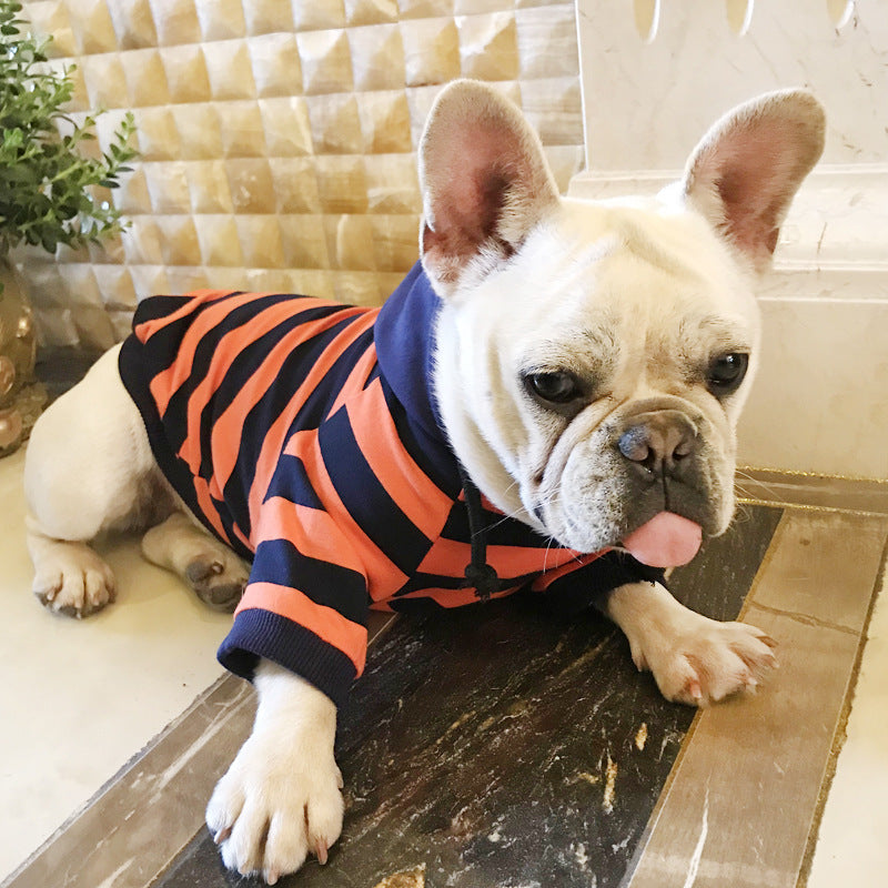 Dog wearing a striped sweater on a wooden floor