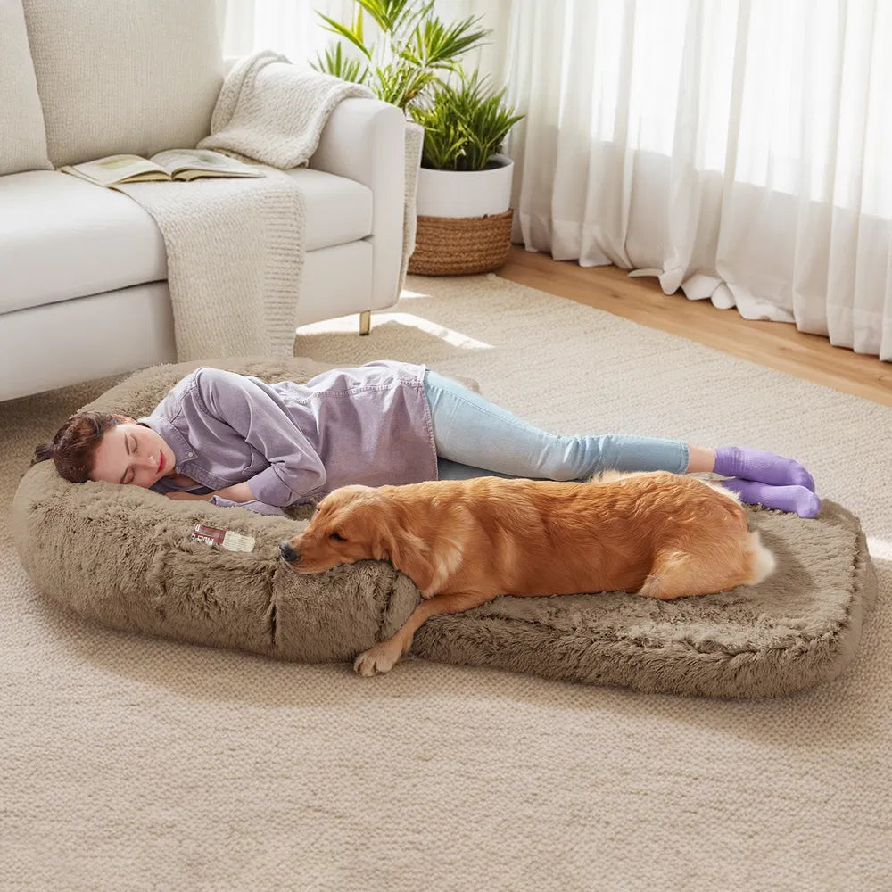 Person lying on a large pet bed with a dog in a living room setting.