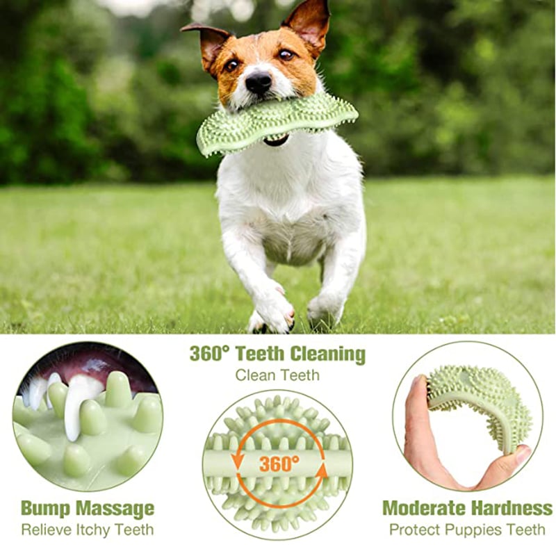 TPR dog chewing toy