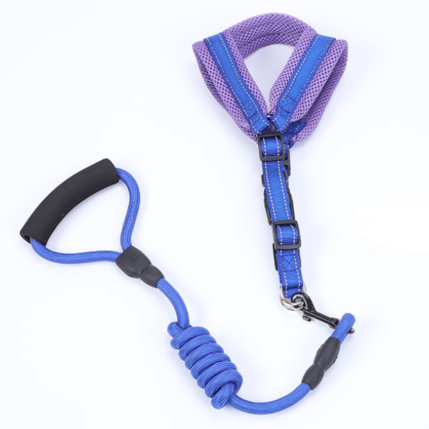 Blue and purple dog leash with handle on a white background