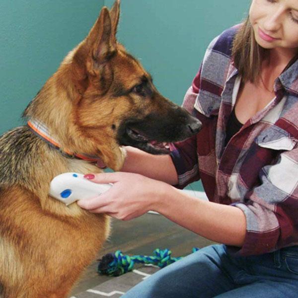 Woman petting a German Shepherd dog with fleaease electric pet groomer