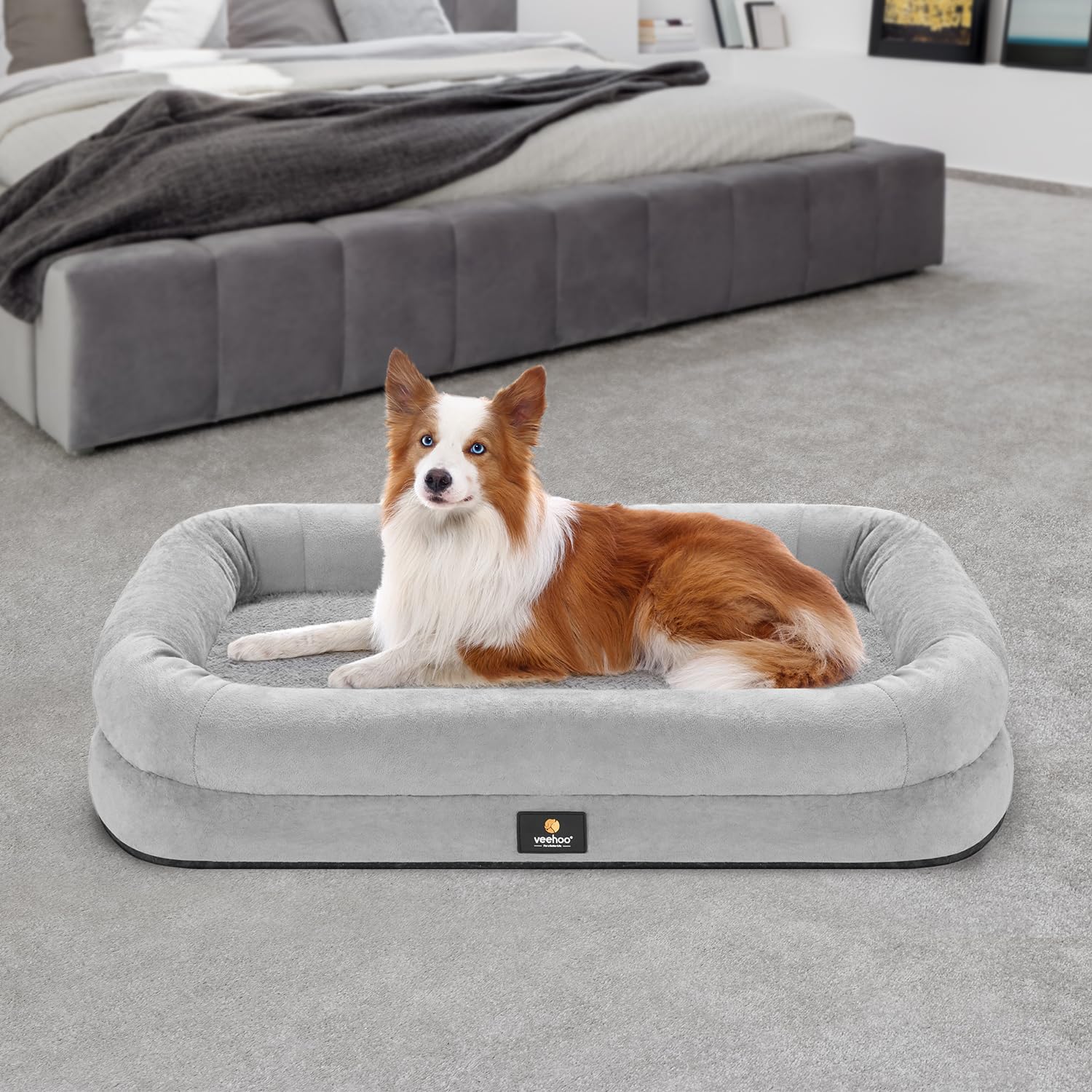 Dog lying on a gray pet bed in a bedroom